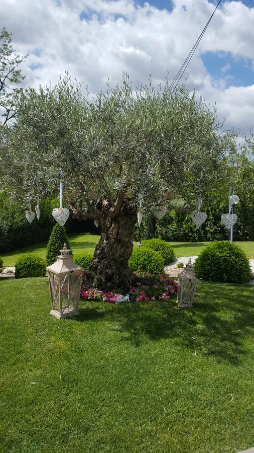 Bed & Breakfast Sant'alessandro Rom